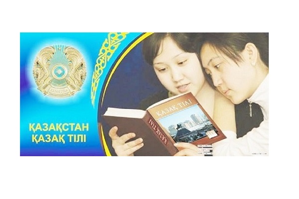 Эми Андерссен Эми Андерссен бейне