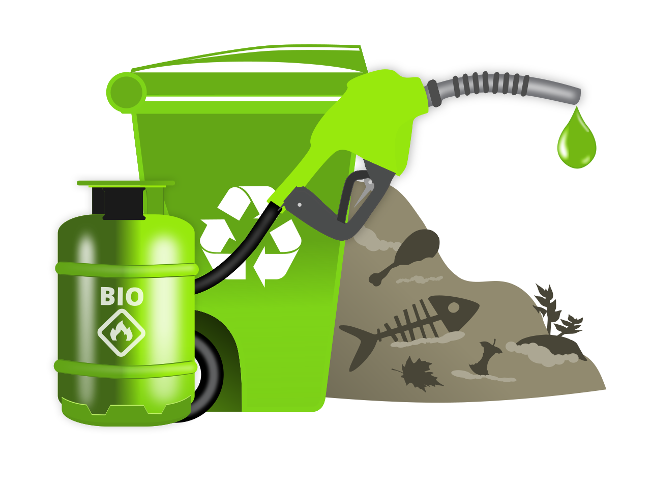 Биотопливо биодизель