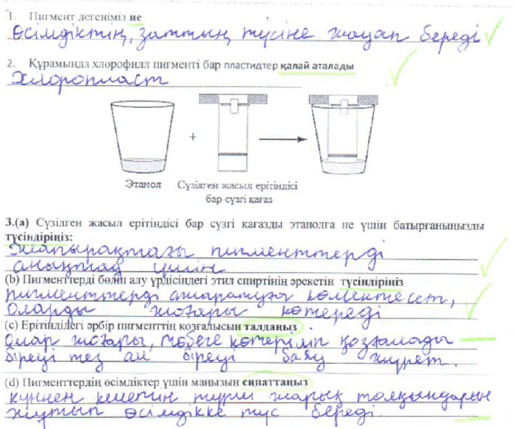 Төрт аяқта тұрған әйелдердің порнофотосуреттері