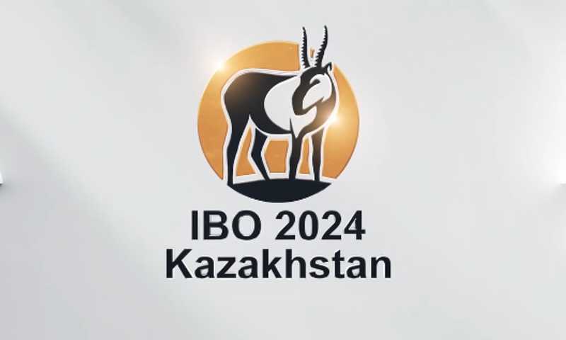 Ibo 2024